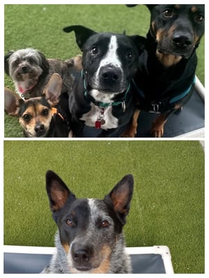 _Add Training Page Pic